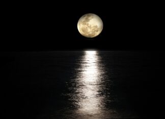 Acqua e Luna: dalle origini ad oggi Acqua e Luna